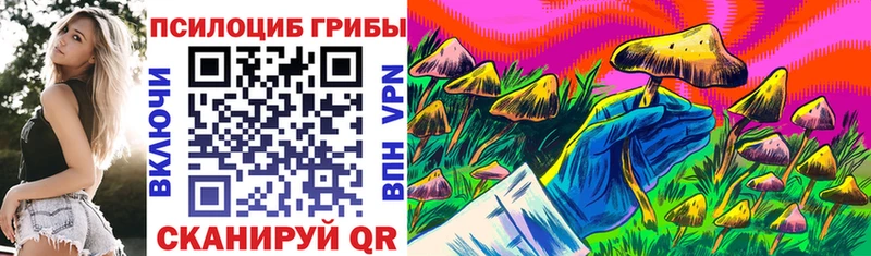 Галлюциногенные грибы GOLDEN TEACHER Качканар