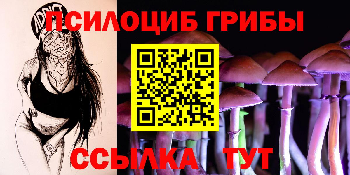 Псилоцибиновые грибы MAGIC MUSHROOMS  Вход с VPN  Качканар 