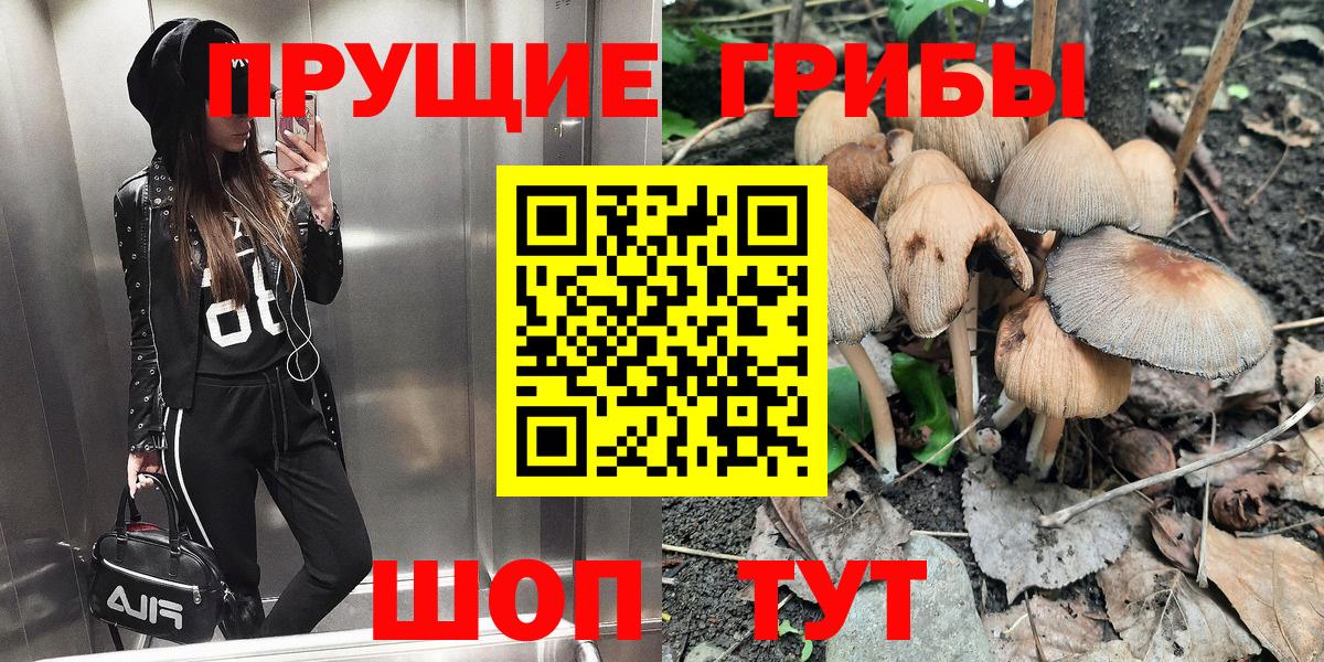 Галлюциногенные грибы Magic Shrooms Качканар