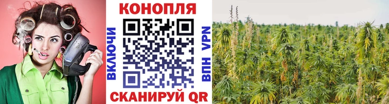 Каннабис Amnesia  как найти наркотики  Качканар 